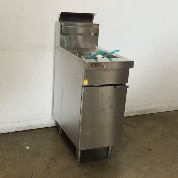 Trueheat RCF4 Fryer