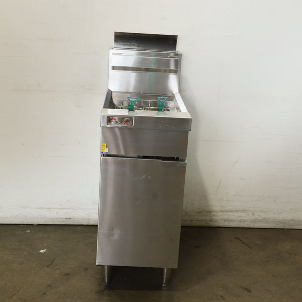 Trueheat RCF4 Fryer
