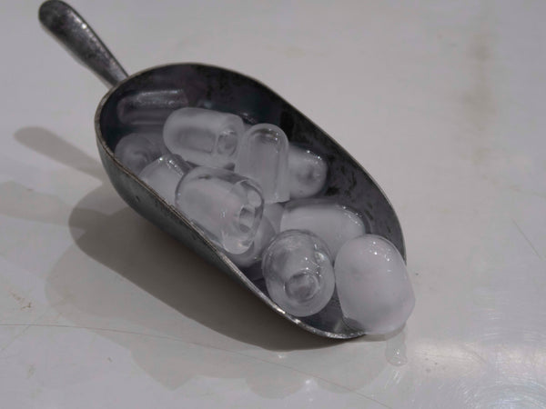 Polar T315-A Ice Machine