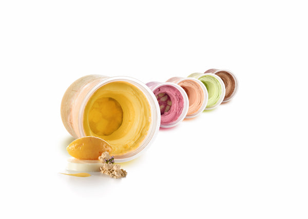 Pacojet 4 Platinum Trade Up Kit - Food Processor