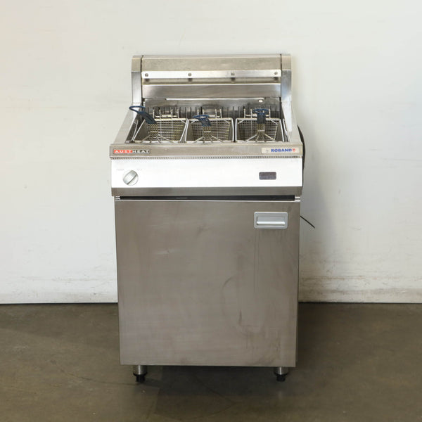 Roband AF813R - Electric Fryer (3)