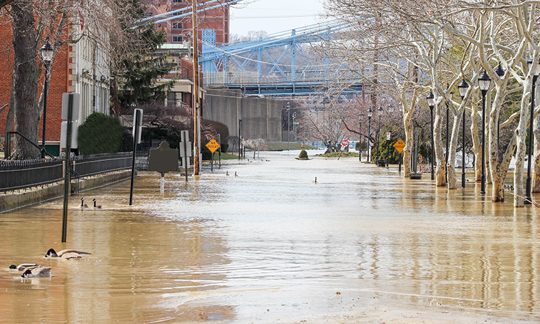 Disaster recovery marketing for cafes, restaurants and bars