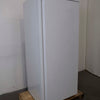 Borrelli CKS-DF600 Upright Freezer