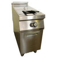 Zanussi EVO900 Fryer