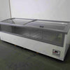 Arneg Pegaso BT L250 SB.AU.R290 Chest Freezer