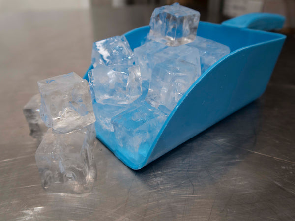 Hoshizaki IM-100CNE Ice Machine