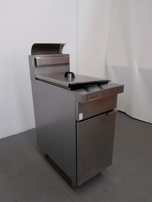 Trueheat RCF4 Fryer