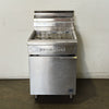 Goldstein VFG24L Fryer