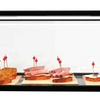 Sayl EP20M Glass Ambient Food Display