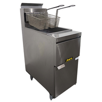 Anets 14GS.CS Single Pan Fryer