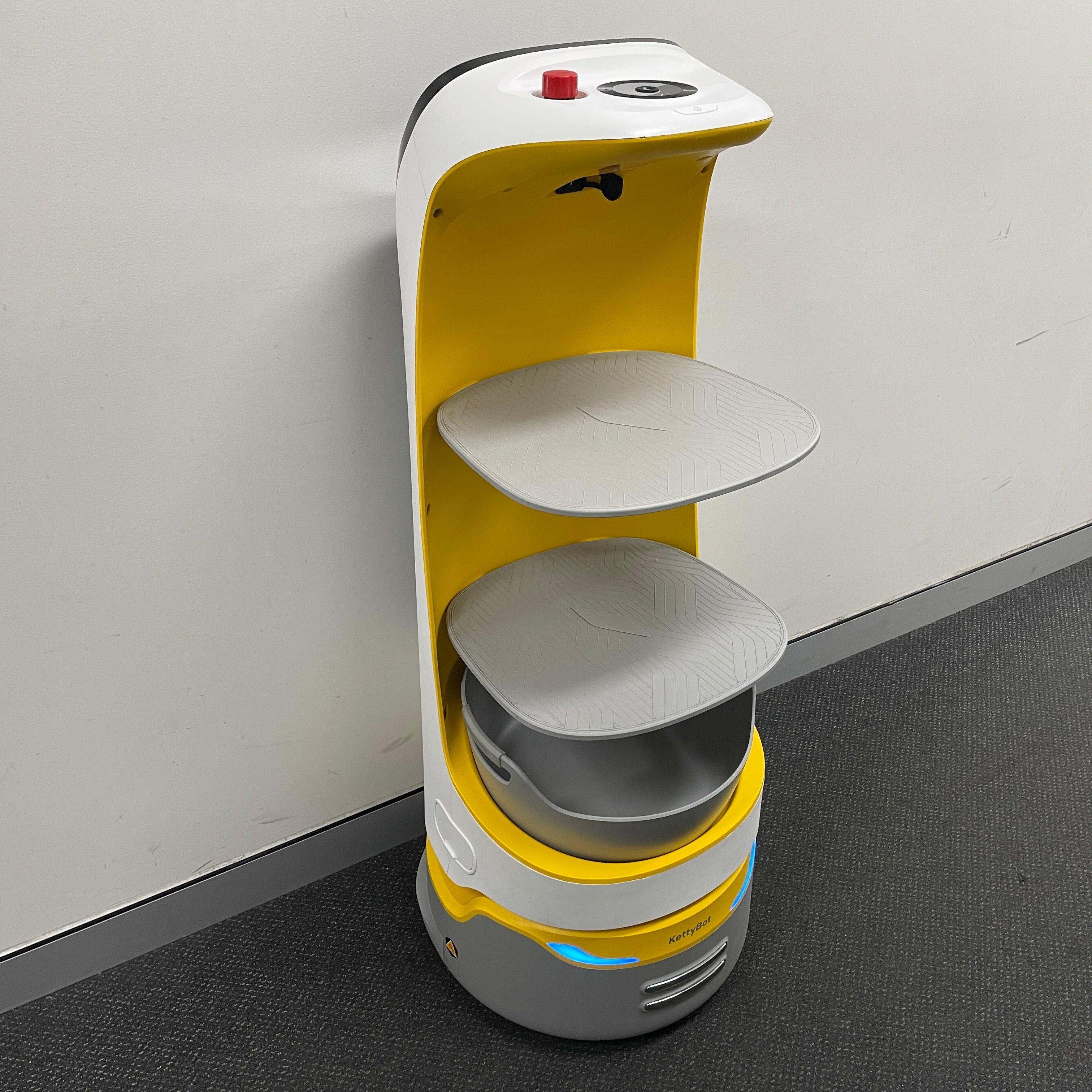Pudu KettyBot Delivery Robot