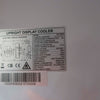 Borrelli UD-1000S Upright Fridge