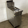 Trueheat RCF4 Fryer
