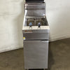 Trueheat RCF4 Fryer