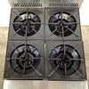 Goldstein PFB24 Cooktop