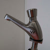 Stainless Steel Push Button Tap