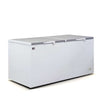 AG Equipment BD900S Chest Freezer
