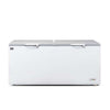 AG Equipment BD900S Chest Freezer