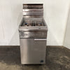 Goldstein VFGTL Fryer