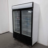 Saltas DFS2999 Upright Freezer