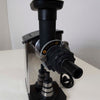 Ceado CP150 Cold Press Juicer