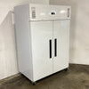 Polar DL897-A-03 Upright Freezer