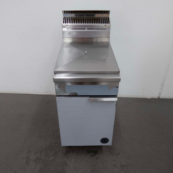Goldstein VFGTL Fryer