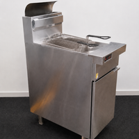 Trueheat RCF4 Fryer