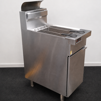 Trueheat RCF4 Fryer