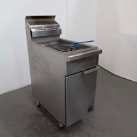 Goldstein VFG-1L Fryer