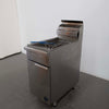 Goldstein VFG-1L Fryer