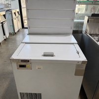 Wise AWRW-157-F1  French Fries Storage Refrigerator