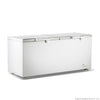 Thermaster BD750F - Chest Freezer