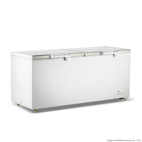 Thermaster BD750F - Chest Freezer