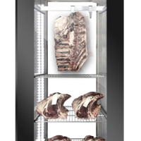 Everlasting DAE0702 - Dry Age Meat Cabinet