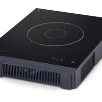 Dipo DWR04 - Drop-In Induction Warmer