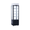 Exquisite CTD235 Upright Display Refrigerator