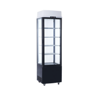 Exquisite CTD235 Upright Display Refrigerator