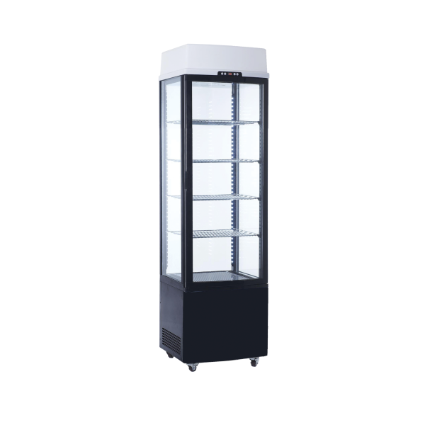 Exquisite CTD235 Upright Display Refrigerator