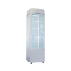 Exquisite CTD235 Upright Display Refrigerator
