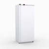 AG Equipment F600V - Upright Freezer