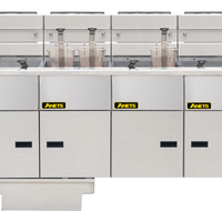 Anets Goldenfry FDAGG414R - Fryer