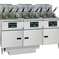 Anets Platinum Series FDAGP375C - Fryer