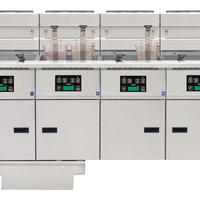 Anets Platinum Series FDAGP455C - Fryer