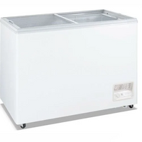 Thermaster WD-520F Chest Freezer