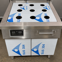 Wise HH-ZBL Luxury Commercial Induction Steamer Cooker