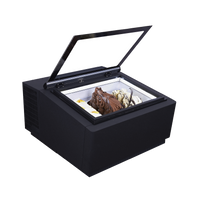 Exquisite IC3T - Ice Cream Freezer