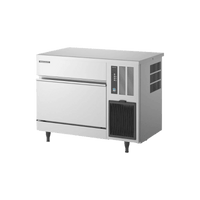 Hoshizaki IM-100CNE-21 - Cube Ice Machine