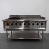 CFEW RCGD09-88H BBQ 9 Burner with hotplate