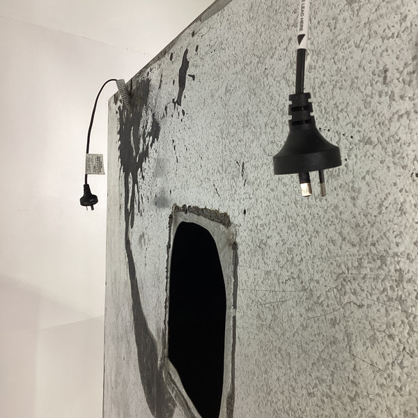 Custom Exhaust Canopy